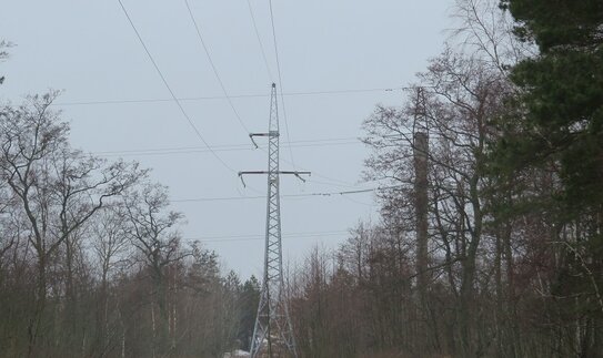 Kuršių nerijoje elektros oro linijas pakeis požeminiai kabeliai