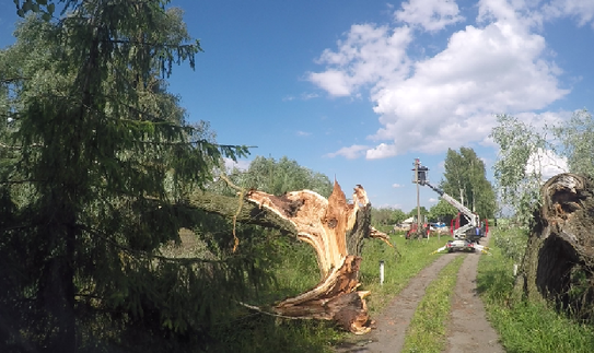 Esant stipriam vėjui negalima artintis prie elektros tinklo įrenginių: keturi svarbiausi patarimai