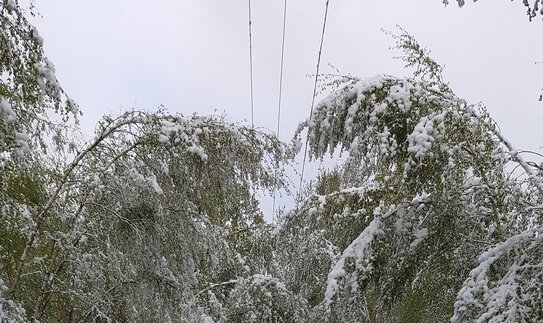 Sunkus, šlapias sniegas sutrikdė elektros tiekimą rytų ir vidurio Lietuvoje