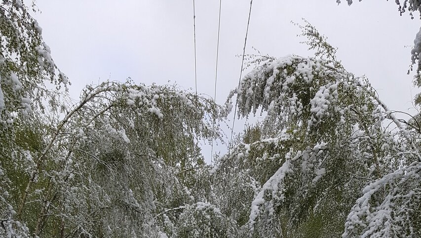 Sunkus, šlapias sniegas sutrikdė elektros tiekimą rytų ir vidurio Lietuvoje