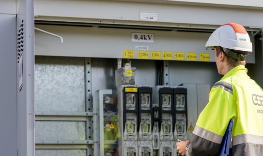 Per metus elektros ir dujų grobstymų sumažėjo beveik perpus