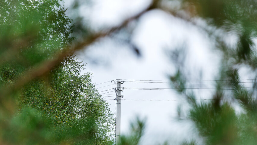 Tvarkant pavojingus medžius bus užtikrintas patikimesnis elektros energijos persiuntimas šalies...