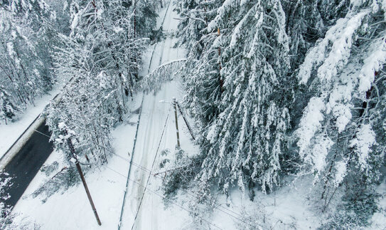 Sniegas sukaustė Lietuvą: ESO pataria ką daryti dingus elektrai